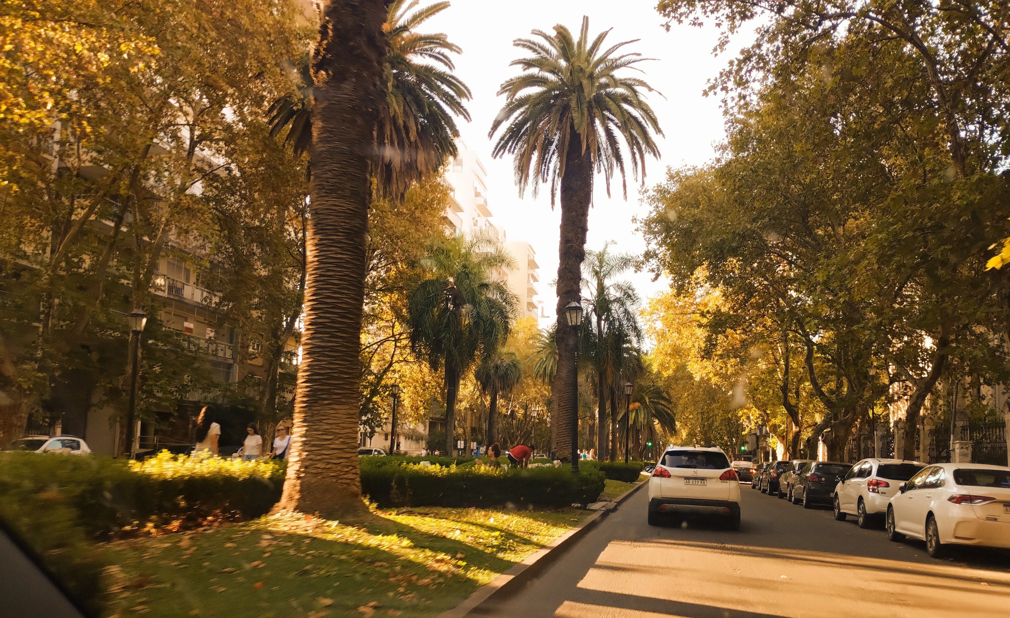 Bulevar en otoño