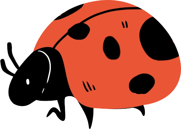 Vaquita