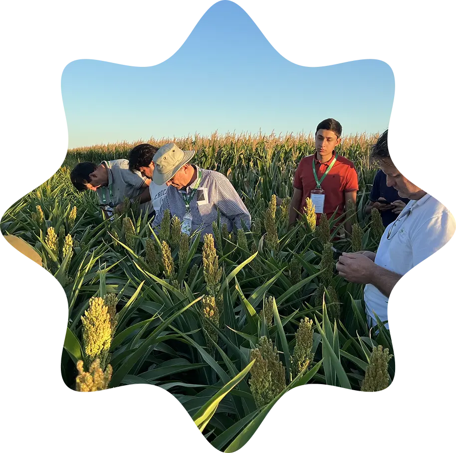 6ta Gira técnica internacional - Técnicos examinando cultivos en el campo