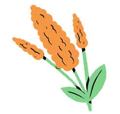 Decoración planta