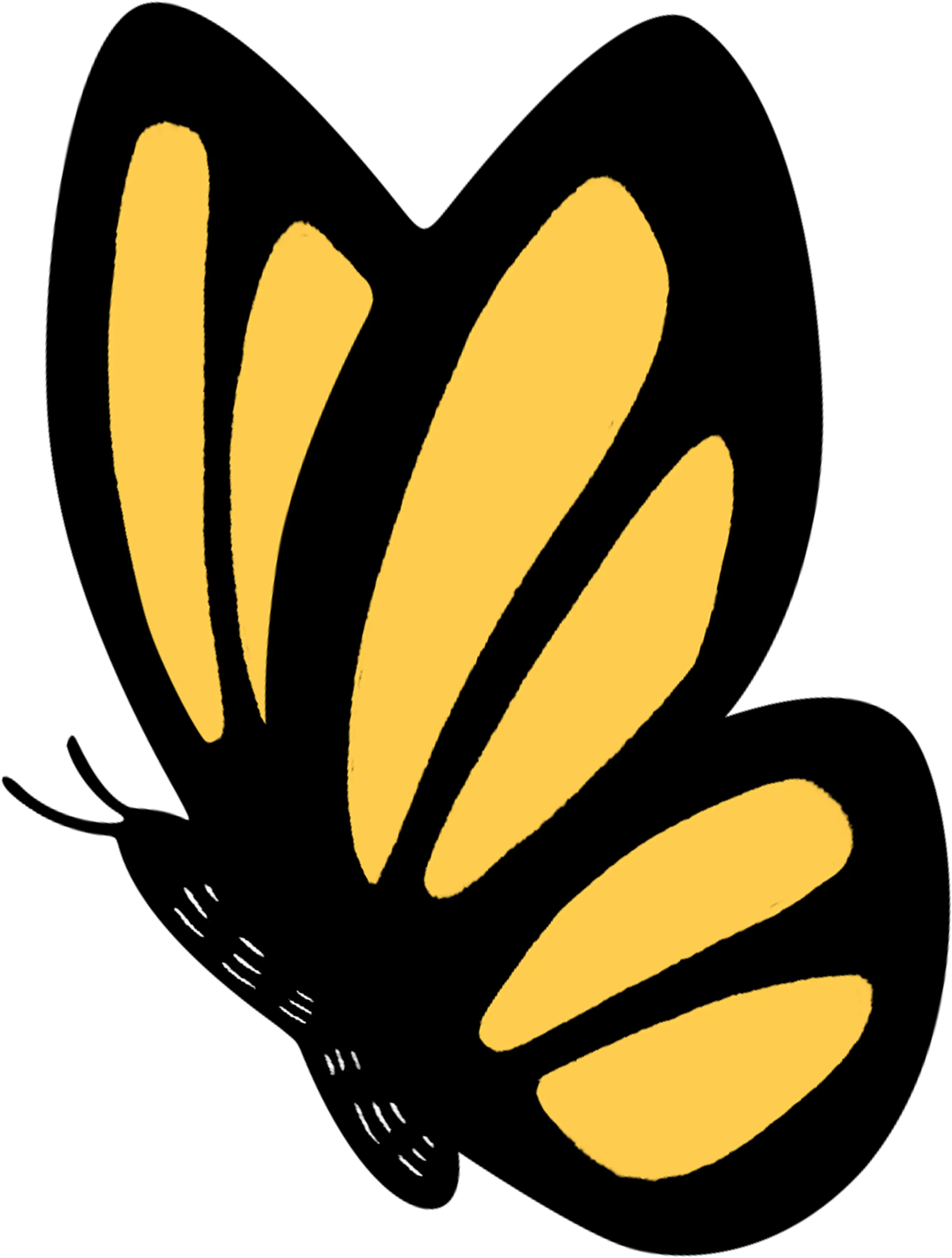 Mariposa